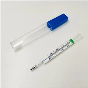 No Mercury Thermometer