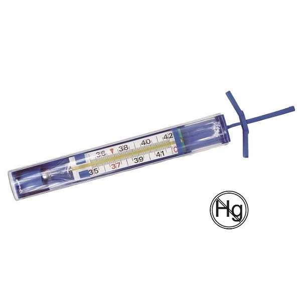 Armpit Gallium Mercury Free Thermometer